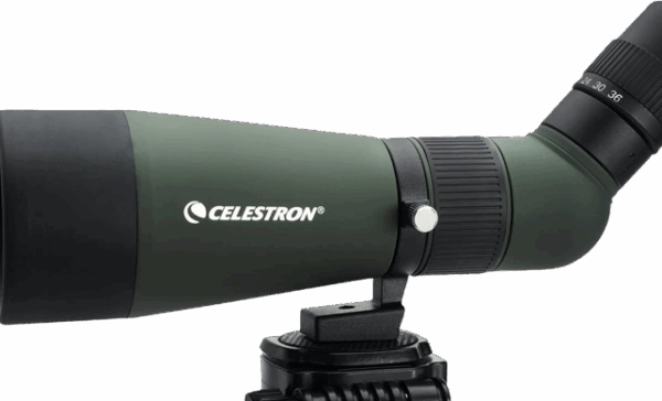 Telescopio Celestron LandScout 12-36x60 V0000913