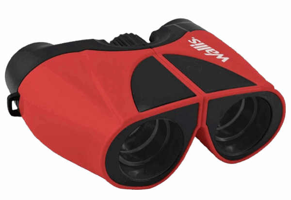 Binocular Wallis 10x22 mm