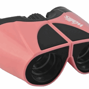 Binocular Wallis 10x22 mm
