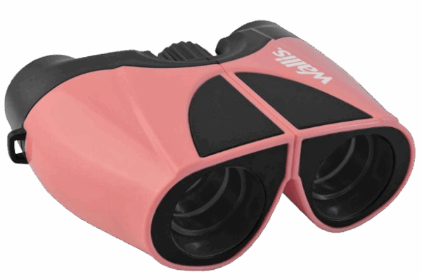 Binocular Wallis 10x22 mm