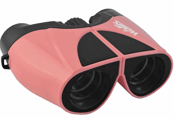 Binocular Wallis 10x22 mm