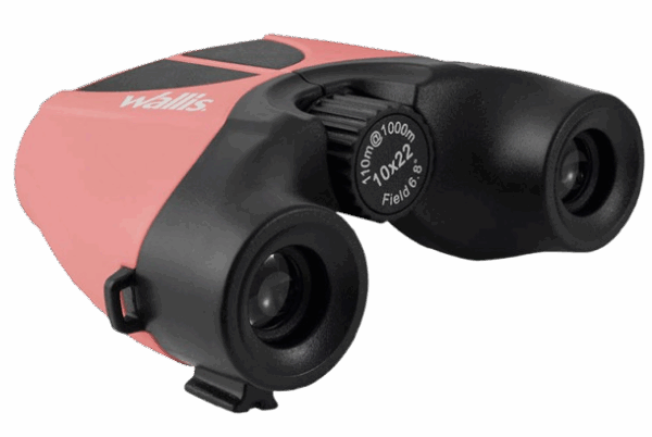 Binocular Wallis 10x22 mm - Imagen 3