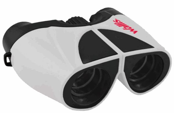 Binocular Wallis 10x22 mm
