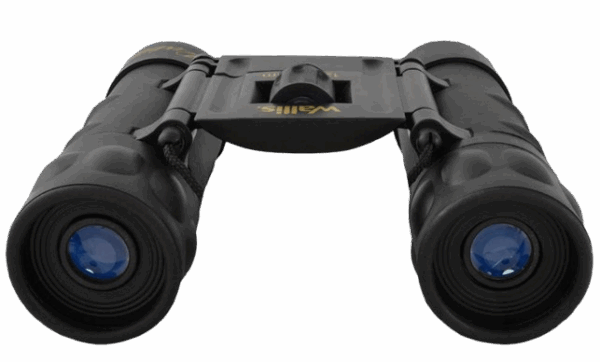 Binocular Wallis 12x25 mm - Imagen 2
