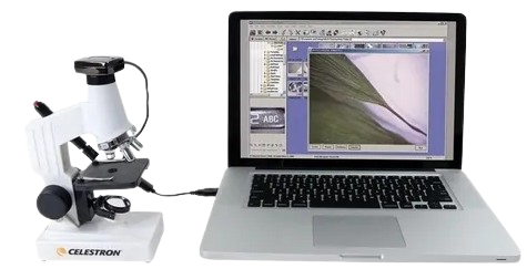 Microscopio Celestron 600x