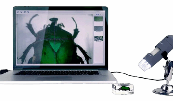 Microscopio Celestron 200x